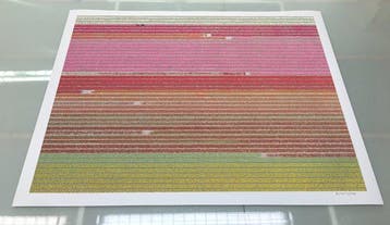 Bernhard Lang - AV_Tulip_Fields_035 - XXL