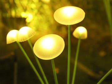 Veiling - Solar tuinverlichting - paddenstoelen, Nieuw