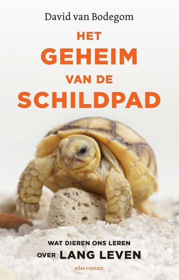 Het geheim van de schildpad - David van Bodegom - 9789045038, Boeken, Verzenden, Nieuw