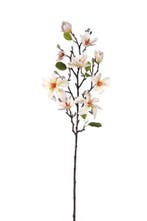 Magnolia tak Ivory/Crème Zijdenbloem 80 cm per stuk, Huis en Inrichting, Nieuw