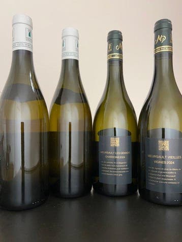 2024 x 2 Gilles Bouton & Fils Chassagne-Montrachet Les, Verzamelen, Nieuw