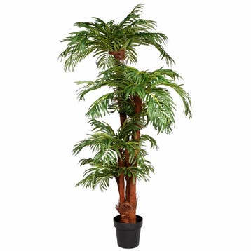 Kunstplant | KOKOS PALM | Groen | Indoor | 1500/2000(h)mm, Verzenden, Nieuw in verpakking