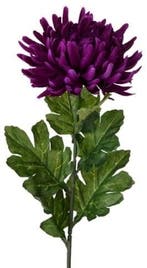 Chrysant Single Large Purple Zijdenbloem per stuk, Nieuw