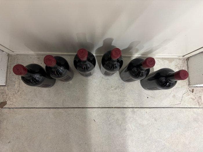 2008 Scriani - Amarone della Valpolicella - 6 Flessen (0.75, Verzamelen, Wijnen