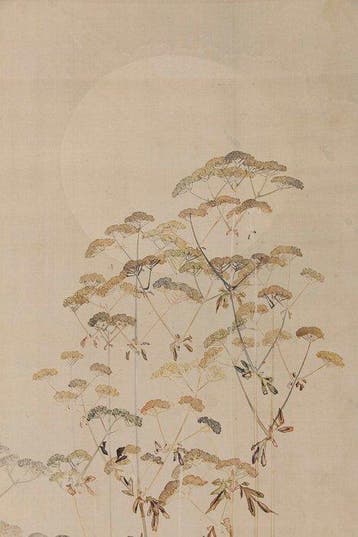 Herfstbloemen en een insect onder de maan - Zijde - Watanabe