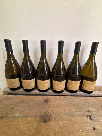 2020 Terlano, Vorberg - Trentino Alto Adige Riserva - 6, Nieuw