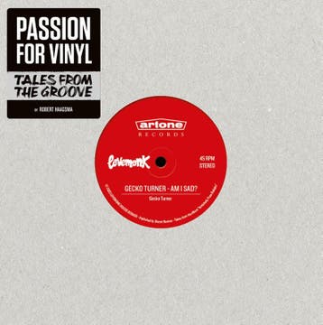 Passion For Vinyl | Robert Haagsma | Nieuw, Verzenden, Nieuw, Robert Haagsma