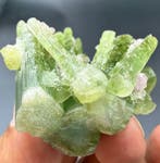 Topkwaliteit groene toermalijnkristalbundel uit Afghanistan