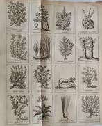 Nicolaes Lemery - Woordenboek of Algemene Verhandeling der