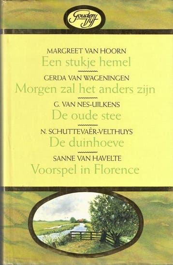 Een stukje hemel / Gouden vijf / 17 9789051124774 Hoorn, Boeken, Verzenden, Gelezen, Hoorn