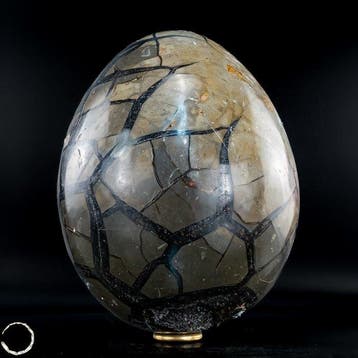 Septarien calciet geode ei – monumentaal luxeobject uit