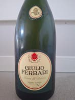 1993 Giulio Ferrari Riserva del Fondatore - Trentino - 1, Collections, Vins