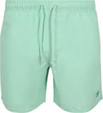 Shiwi Zwembroek Mike Green Jade maat Maat 48/50 (M) Heren, Shiwi, Nieuw, Groen, Verzenden