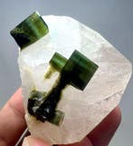 Tourmaline) Kristal op matrix - Hoogte: 46 mm - Breedte: 45, Verzamelen, Mineralen en Fossielen