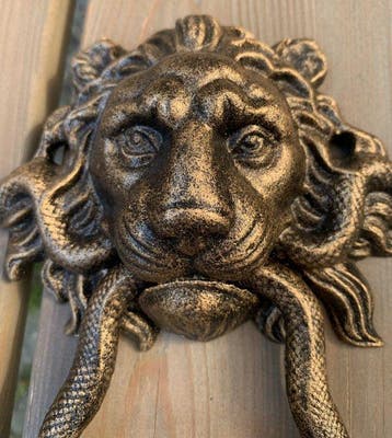 Decoratief ornament - Europa