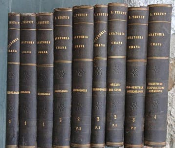 L. Testut - Trattato di Anatomia Umana - 1899
