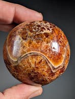 Prachtige fossiele bol - Fossiel fragment - Ammonite - 6.8