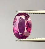 1 pcs Rouge, Violet Rubis - 3.70 ct - Gemological Institute, Handtassen en Accessoires, Edelstenen, Nieuw