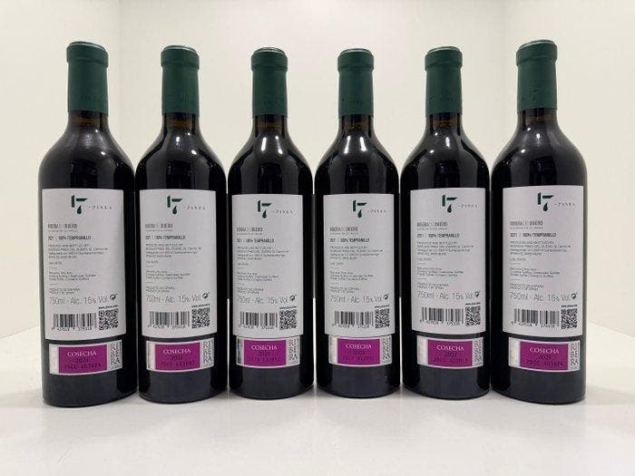 2021 Pinea, 17 by Pinea - Ribera del Duero - 6 Flessen (0.75, Verzamelen, Wijnen