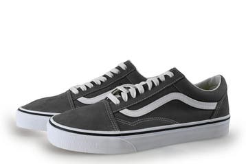 Vans Sneakers in maat 42 Grijs, Kleding | Heren, Schoenen, Overige kleuren, Verzenden, Sneakers, Vans