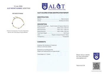 Zonder minimumprijs - Halsketting Zilver - Gemengde, Nieuw