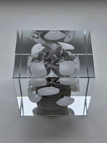 Nuutajarvi - Oiva Toikka - Centre de table - Cube annuel -