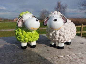 Beeld, set of 2 colorful lambs - 17 cm - polyresin