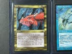 Wizards of The Coast - 7 Card - Magic: The Gathering Lot 7, Nieuw