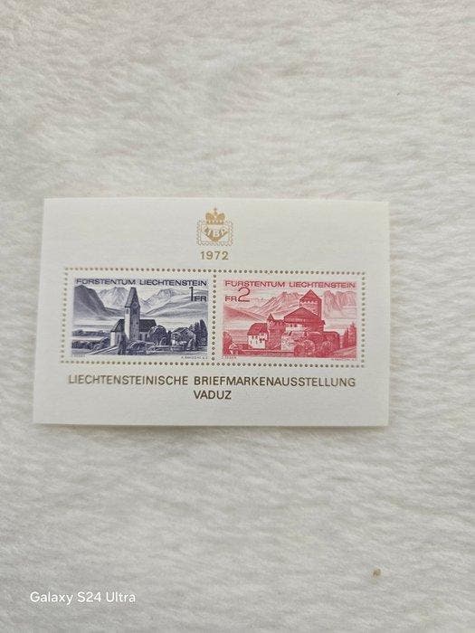 Liechtenstein 1961/2007 - Liechtenstein, Postzegels en Munten, Postzegels | Europa | België