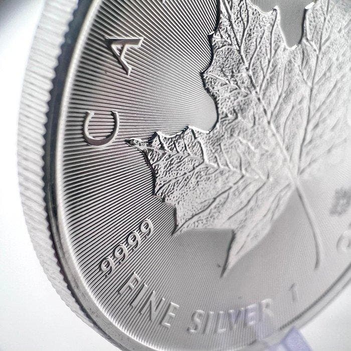 Canada. 5 Dollars 2026 – Maple Leaf – 1 oz Silver coin – Ag, Postzegels en Munten, Munten | Europa | Niet-Euromunten