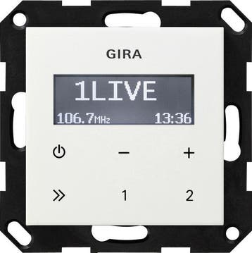 Gira System 55 Matériel De Commutation Radio - 228403, Verzenden, Nieuw