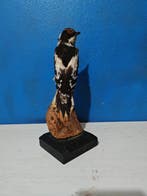 Pic médian Support de corps entier pour taxidermie -, Verzamelen, Dierenverzamelingen, Nieuw