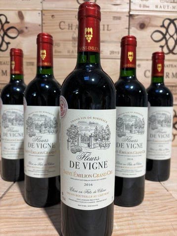 2016 Château La Fleur de Vigne - Saint-Émilion Grand Cru - 6