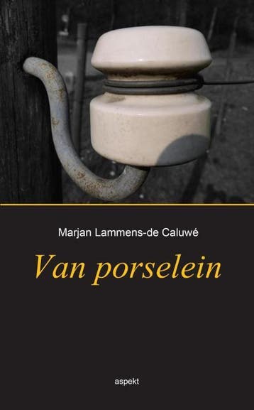 Van porselein 9789461535757 Marjan Lammens-de Caluwé, Verzenden, Marjan Lammens-de Caluwé