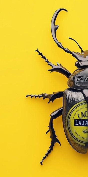 F2B - BeetleCan zan 2I8, Antiquités & Art, Art | Objets design