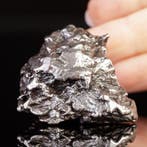 Campo del Cielo - météorite – fer-nickel avec structure de