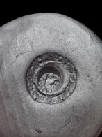 Oud-Romeins Brons, Stunning Intaglio with Lionhead Seal Ring