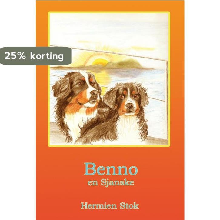 Benno en Sjanske 9789491670176 Hermien Stok, Livres, Livres pour enfants | 0 an et plus, Envoi