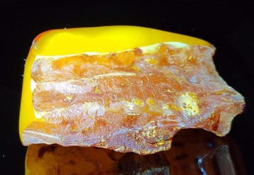 Baltisch amber - Hoogwaardige AAA- 89 g