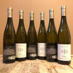 2025 Tramin, Gewurztraminer Selida - Alto Adige DOC - 6, Nieuw