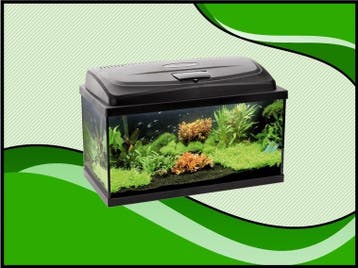 AQUA4 START 60 recht aquarium set compleet (Aquarium sets), Dieren en Toebehoren, Verzenden, Nieuw