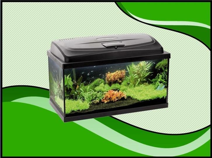 AQUA4 START 60 recht aquarium set compleet (Aquarium sets), Animaux & Accessoires, Poissons | Aquariums & Accessoires, Envoi