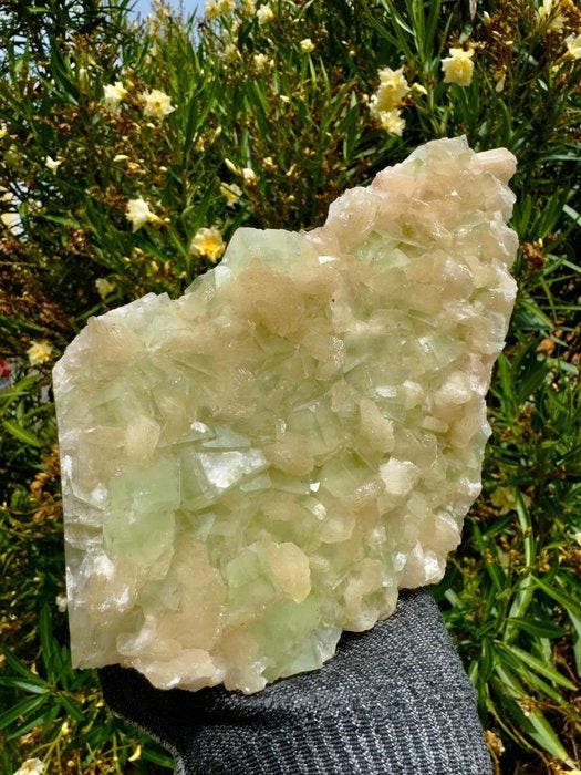 Unieke groene kubische apofylliet met stilbiet Kristal op, Verzamelen, Mineralen en Fossielen