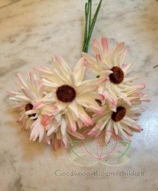 Aster Gerbera Crèmepink Foambloem Doos 30 stuks, Nieuw