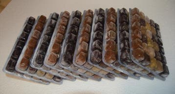 Diepvriesvoeding Tropical Mix Quintet 10x 100 gram, Ophalen of Verzenden, Nieuw, Overige typen