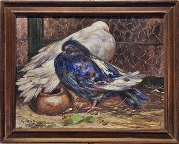 Aprea Giuseppe (1876 - 1946) - Coppia di colombi