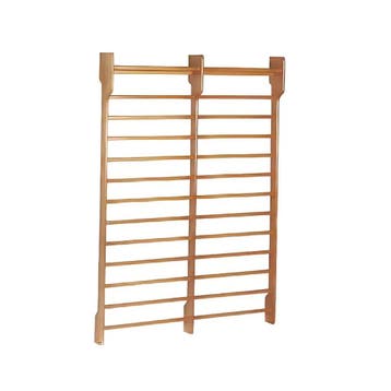 Toorx Fitness Dual Wallbar - Dubbel Wandrek - 180 x 250 cm, Verzenden