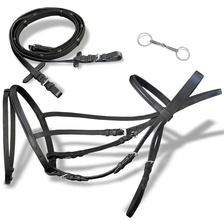 vidaXL Hoofdstel leer met gecombineerde neusriem, teugels en, Animaux & Accessoires, Chevaux & Poneys | Autres trucs de cheval