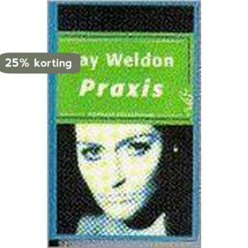 Praxis / Ooievaar 9789035114852 Fay Weldon, Verzenden, Gelezen, Fay Weldon