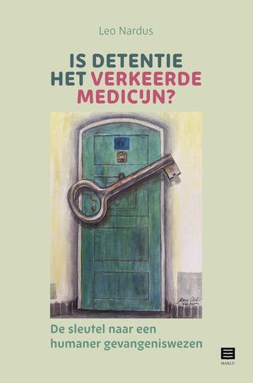 Is detentie het verkeerde medicijn? 9789046612231 Leo Nardus, Verzenden, Gelezen, Leo Nardus